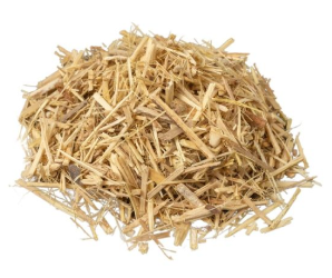 Ginseng